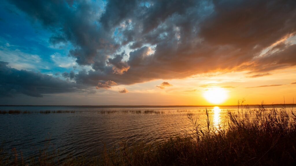 Top Reasons Your Family Should Consider Moving To Deltona